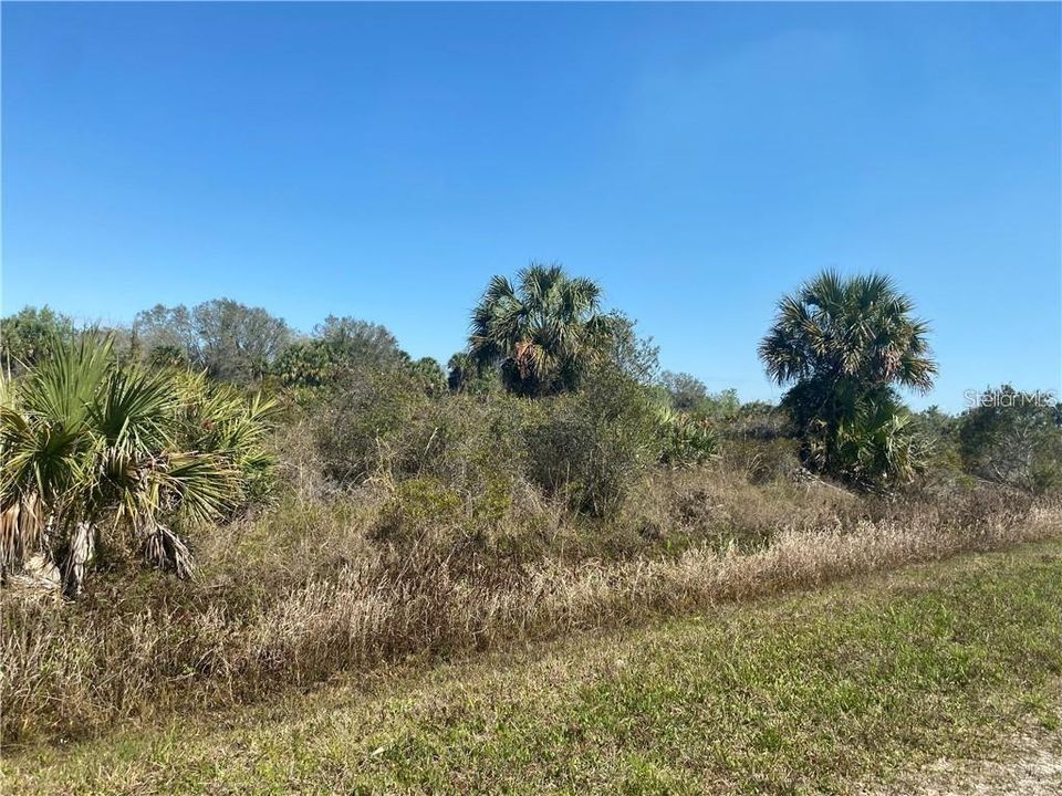 Recently Sold: $12,000 (1.25 acres)