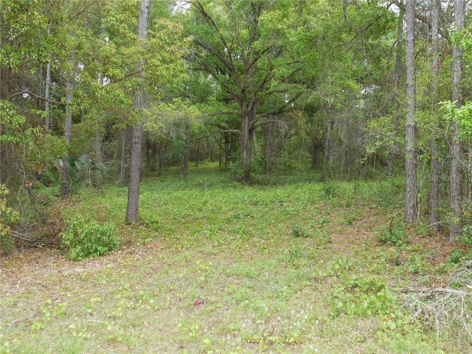 Vendido Recientemente: $109,900 (1.01 acres)