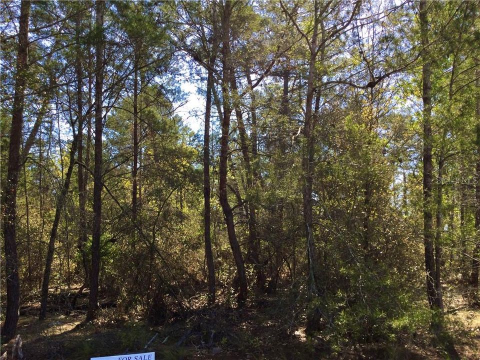 Recently Sold: $44,000 (0.63 acres)