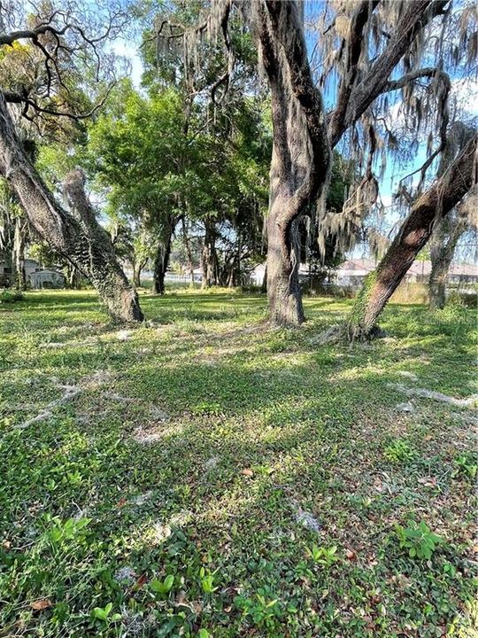 Vendido Recientemente: $79,900 (0.51 acres)