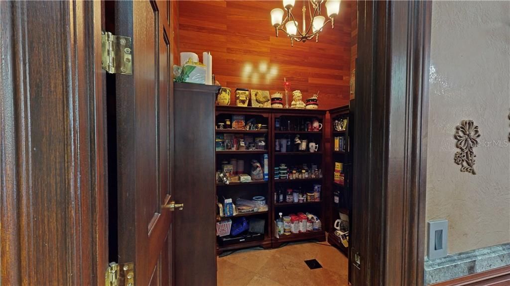Walk-in pantry with wood stained walls.