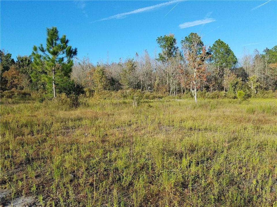 Recently Sold: $269,000 (20.00 acres)