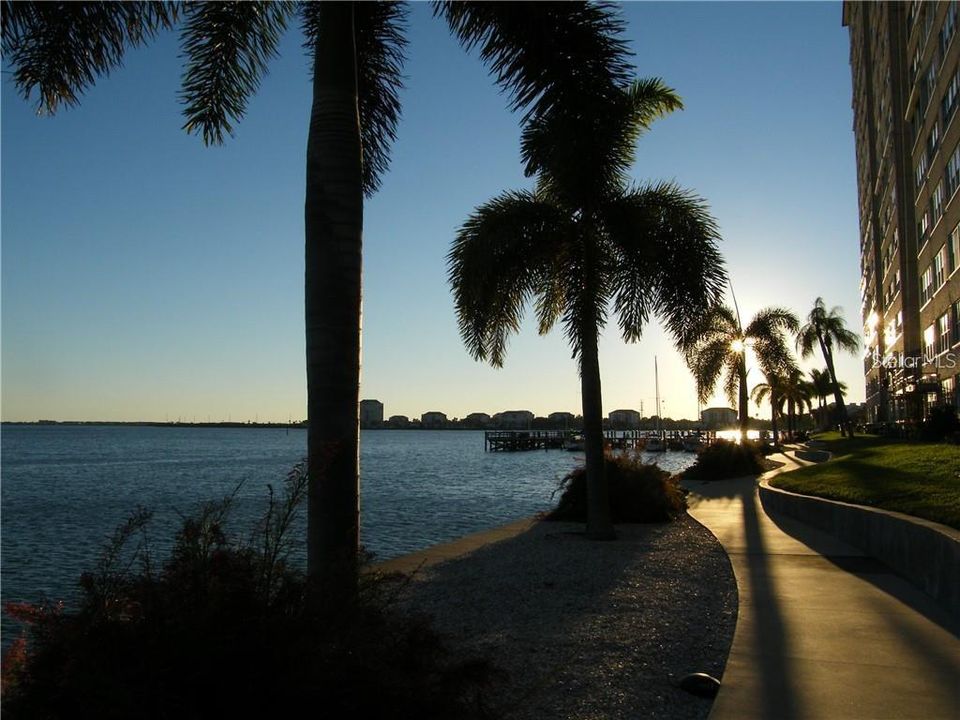 Beautiful walking trails along the water front