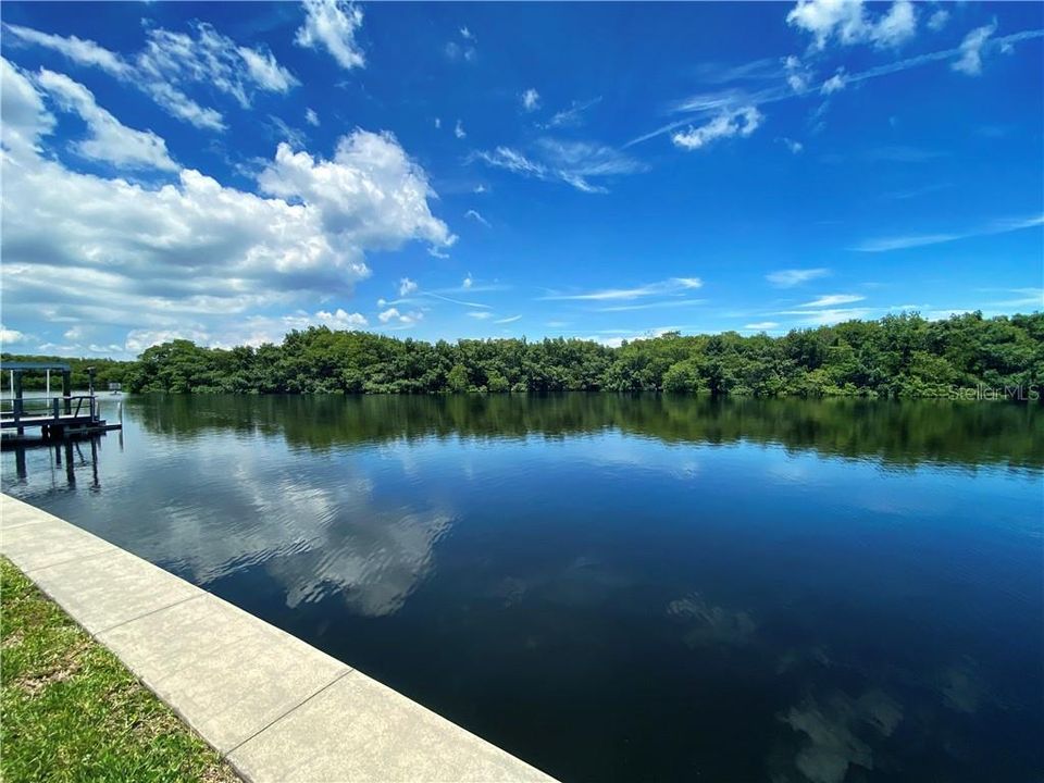 Community park is steps away. Watch the dolphin and manatee or fish off the dock. Peaceful and beautiful!