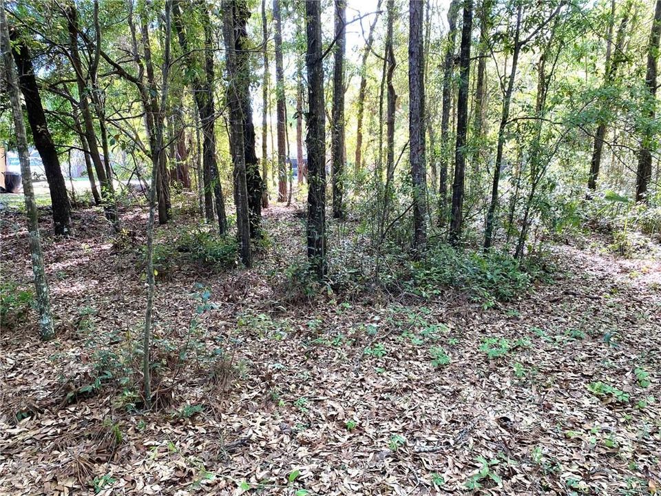 Recently Sold: $16,500 (0.24 acres)