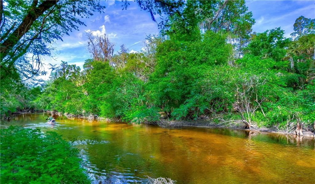 Own a slice of Old Florida nestled along 380ft of the Alafia River in Valrico!