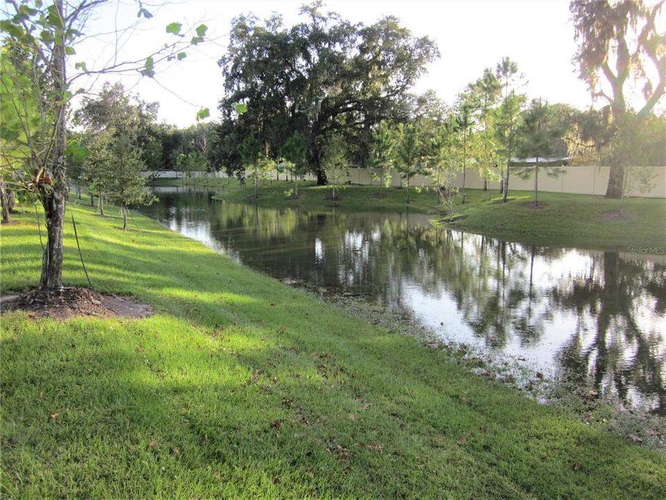 Community Pond Area