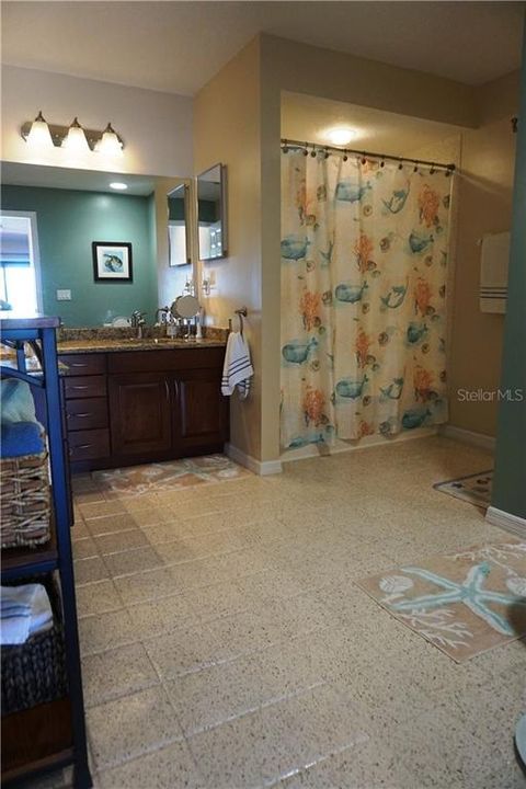 Master Bath  - Double Sinks - Jet Tub and Walk in Shower