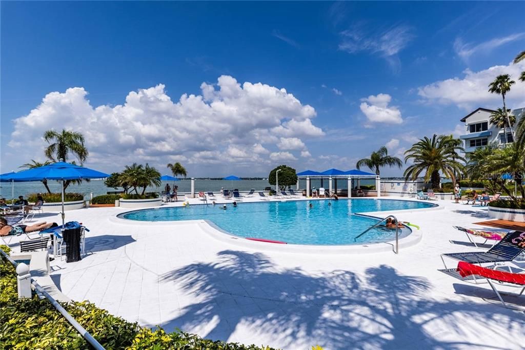 Resort style pool overlooking water
