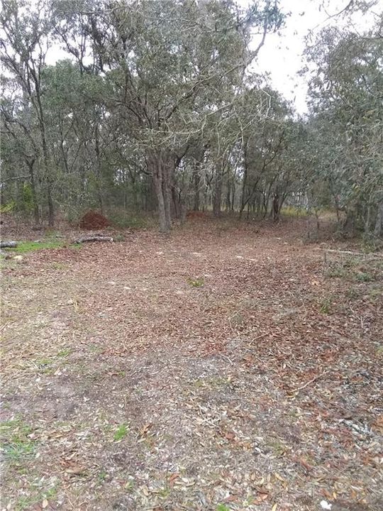 Recently Sold: $19,000 (0.72 acres)