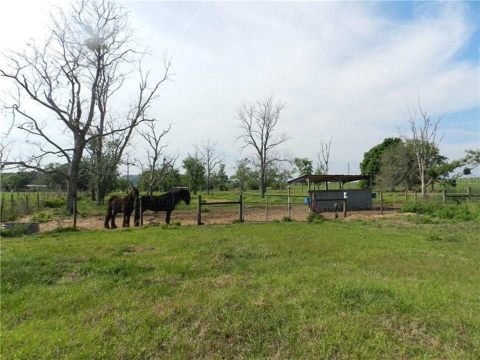 Recently Sold: $325,000 (11.63 acres)