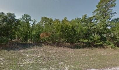 Recently Sold: $11,000 (0.27 acres)