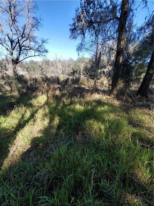 Recently Sold: $50,000 (5.00 acres)