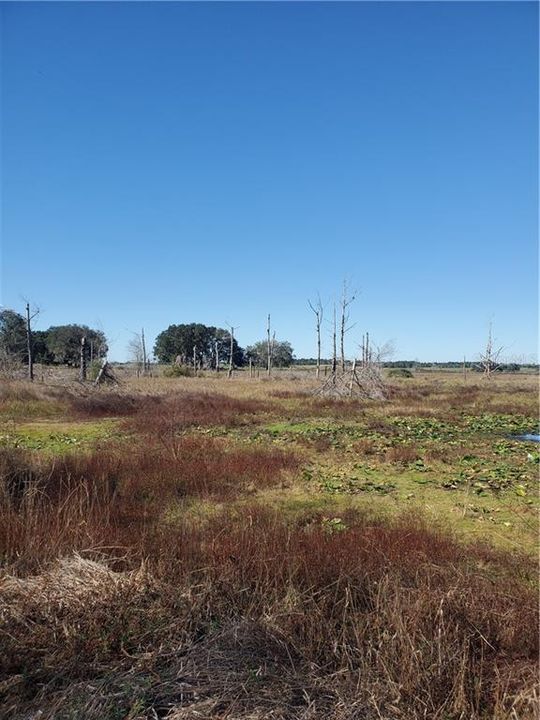 Recently Sold: $50,000 (5.00 acres)