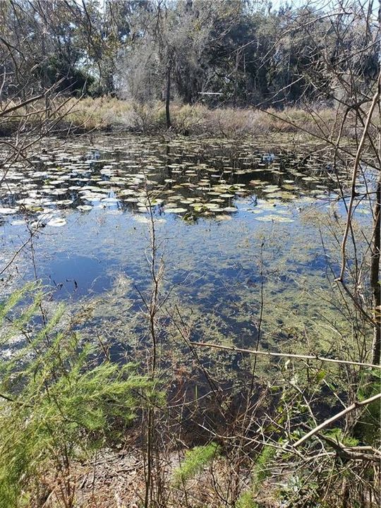 Недавно продано: $50,000 (5.00 acres)