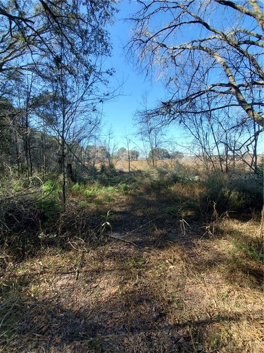 Recently Sold: $50,000 (5.00 acres)