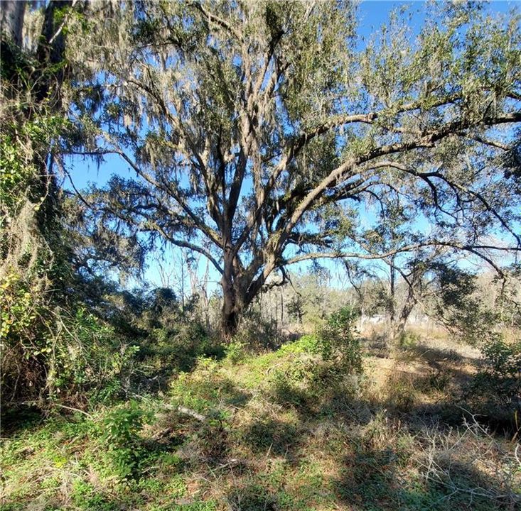 Recently Sold: $50,000 (5.00 acres)