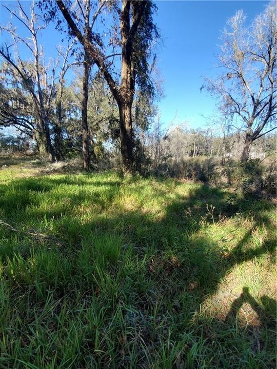 Recently Sold: $50,000 (5.00 acres)