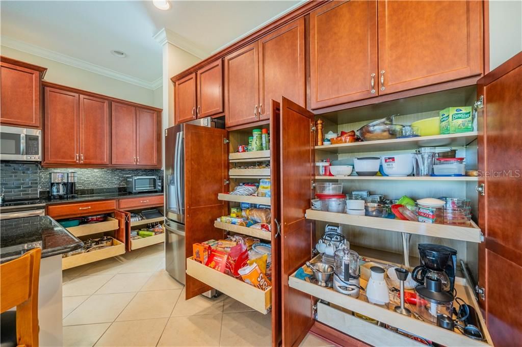 Pull outs in Pantry and Cabinets