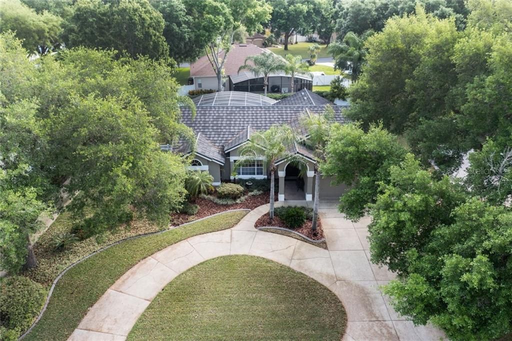 Oaks Provide Privacy and Shade