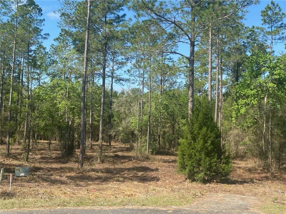 Recently Sold: $30,000 (2.67 acres)