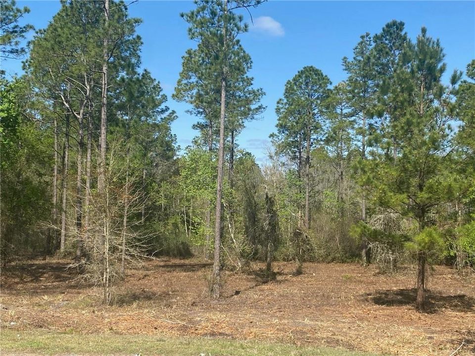 Recently Sold: $30,000 (2.67 acres)