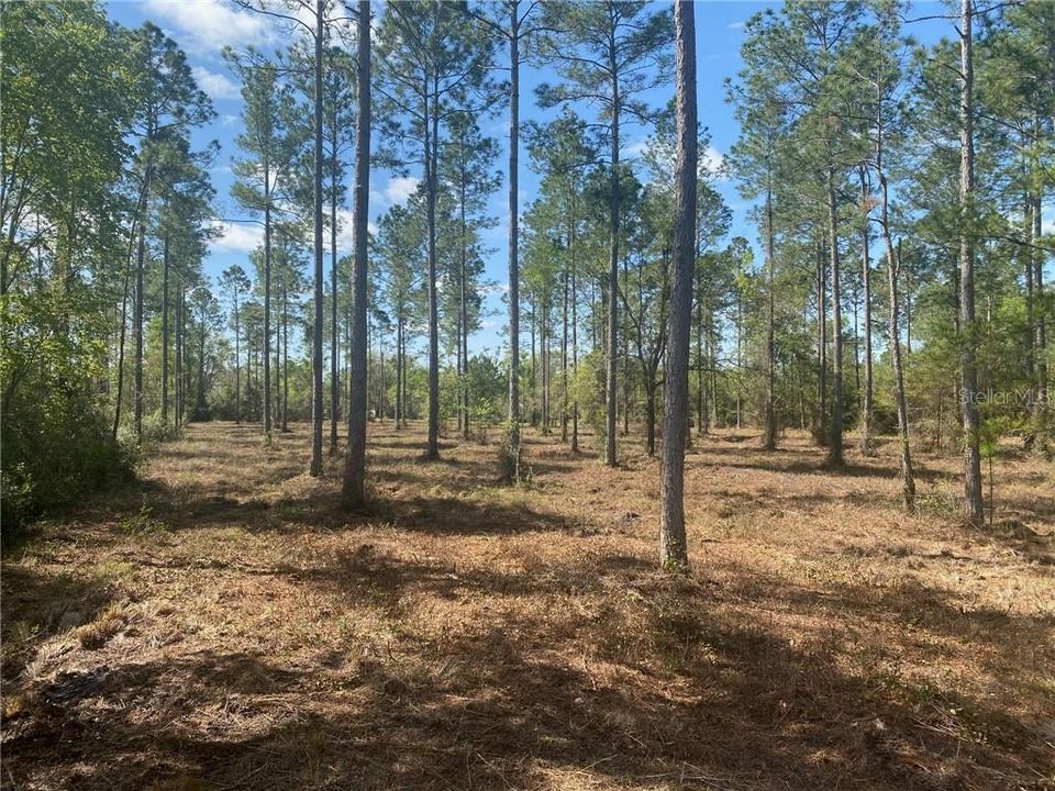 Recently Sold: $30,000 (2.67 acres)