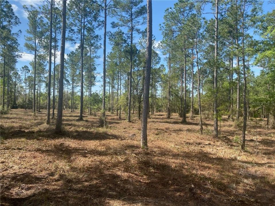 Recently Sold: $30,000 (2.67 acres)