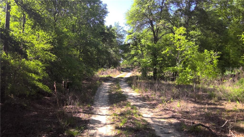 Recently Sold: $6,900 (0.24 acres)