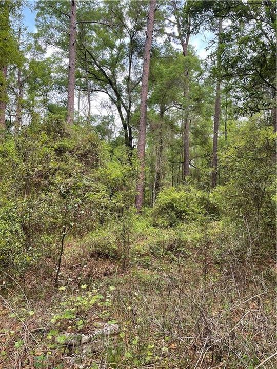 Recently Sold: $4,000 (0.24 acres)
