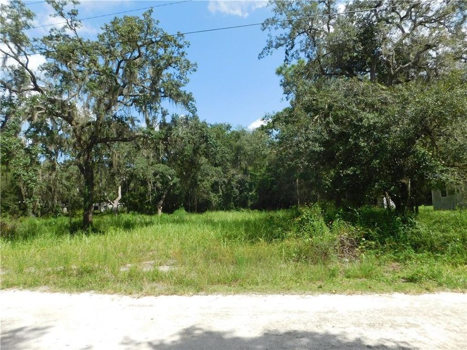 Recently Sold: $18,500 (0.35 acres)