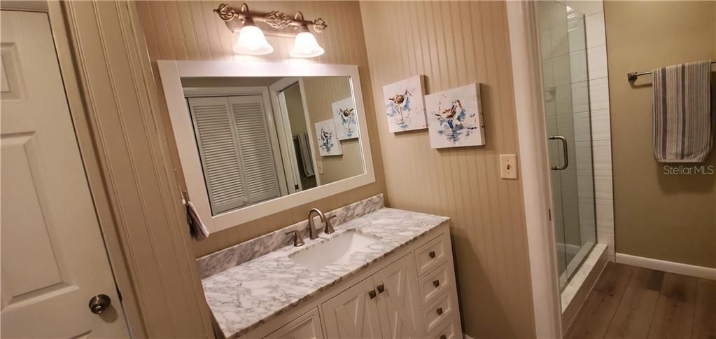 NEW VANITY WITH MIRROR AND LIGHTING SEPARATE FROM SHOWER AREA WHICH HAS A POCKET DOOR