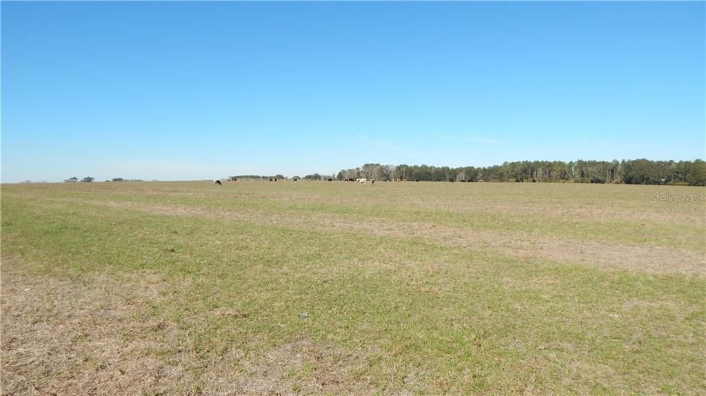 Recently Sold: $380,000 (20.00 acres)