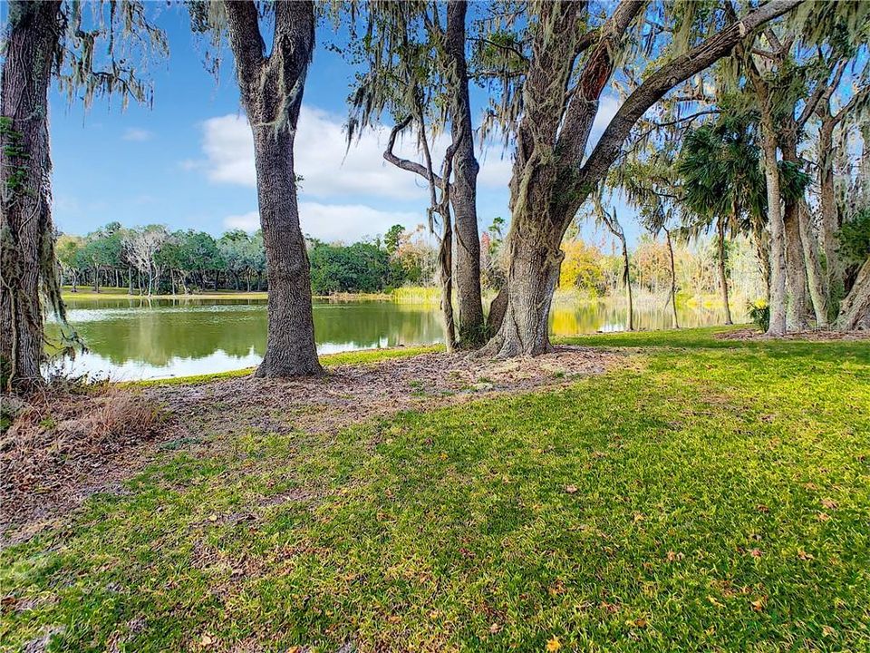 最近售出: $525,000 (11.39 acres)