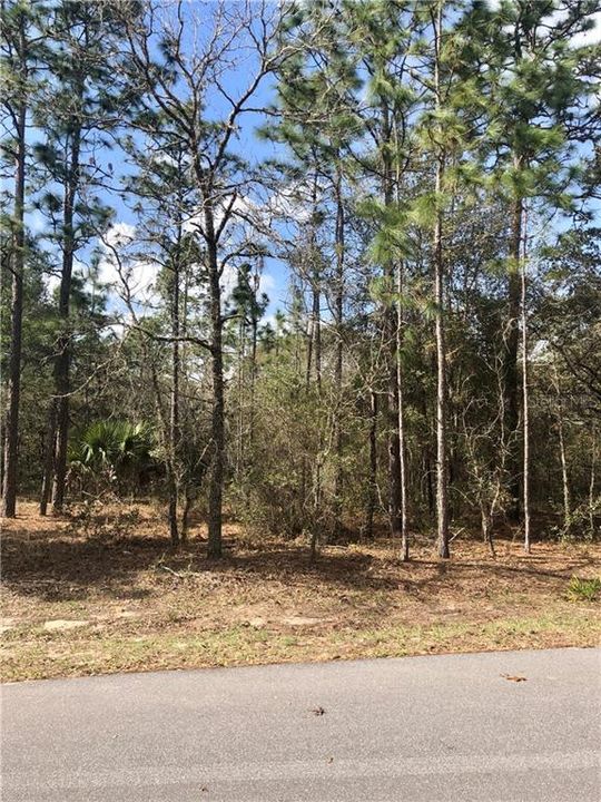 Recently Sold: $16,900 (0.23 acres)