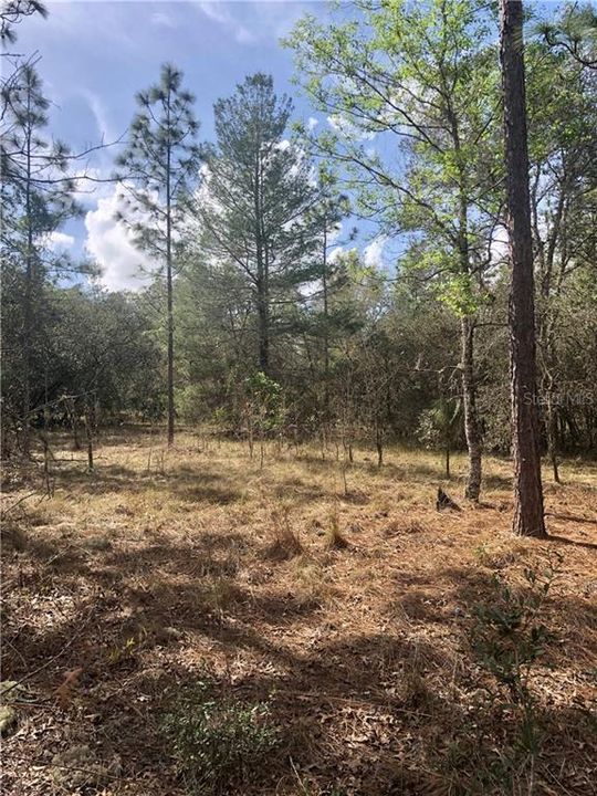 Recently Sold: $16,900 (0.23 acres)