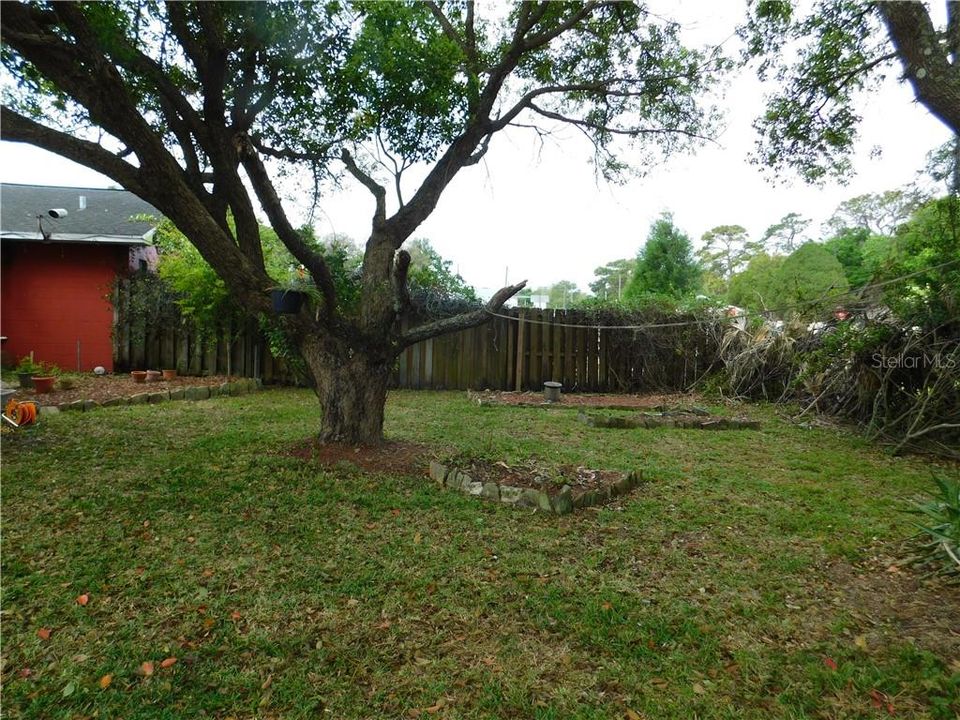 Fenced Court Yard, north side of property