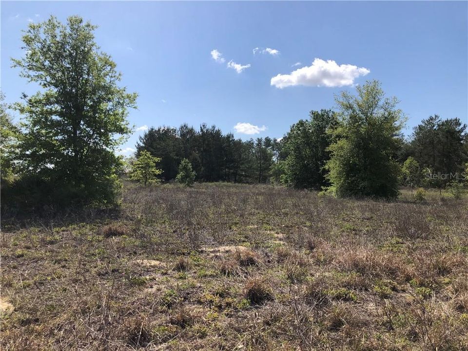 Недавно продано: $85,000 (5.00 acres)