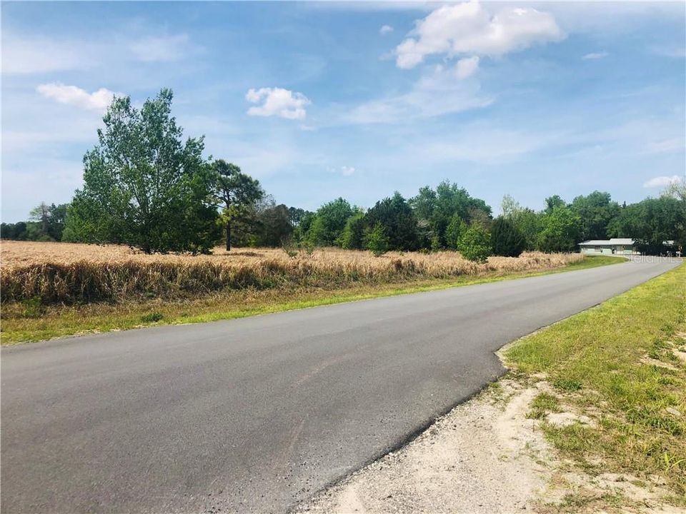 Recently Sold: $5,900 (0.23 acres)