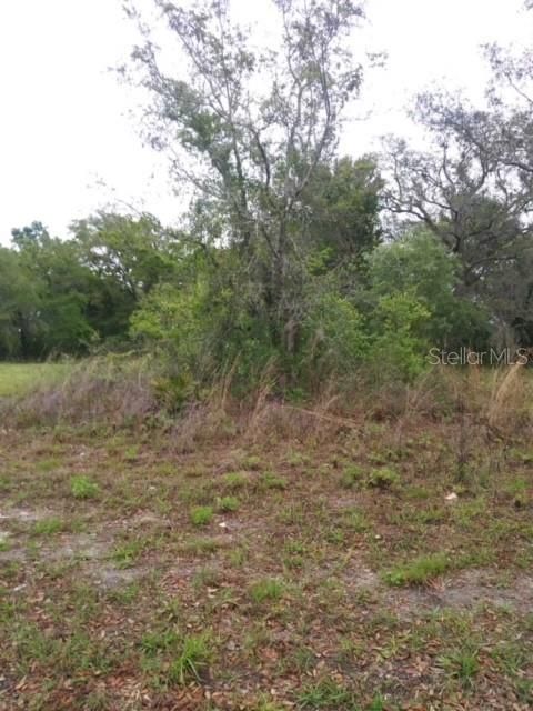 Recently Sold: $21,900 (0.21 acres)