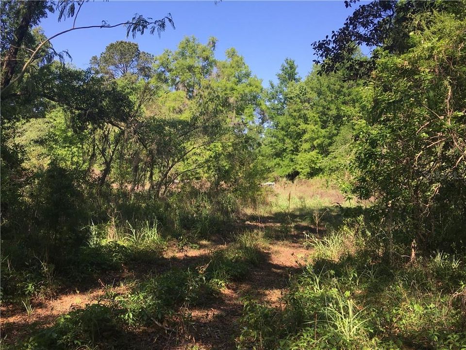 Recently Sold: $147,000 (4.91 acres)