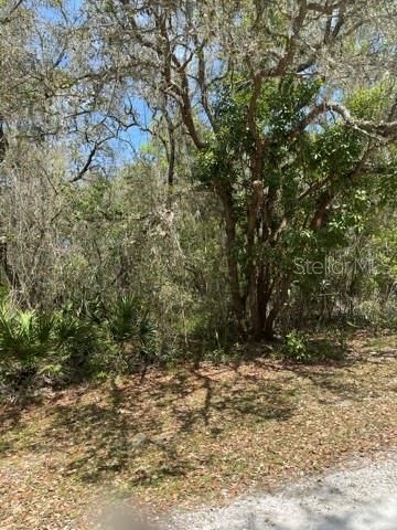 Recently Sold: $39,700 (1.59 acres)