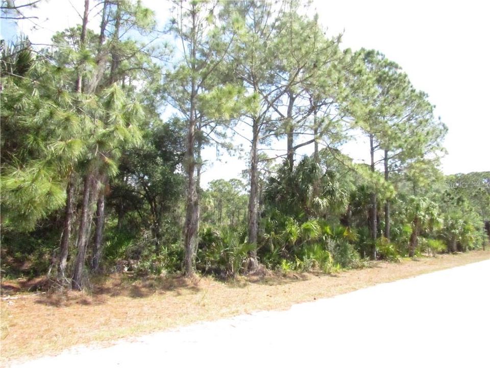 Recently Sold: $20,000 (0.46 acres)