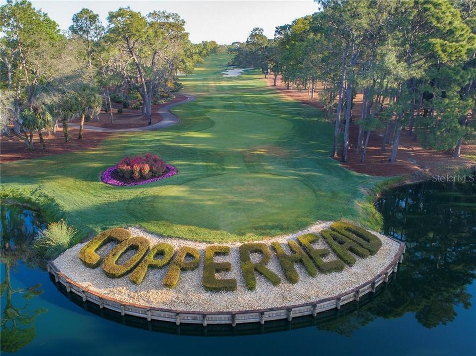 Copperhead Golf Course-home of the PGA Valspar Tournament. One of four premier golf courses in Innisbrook Golf Resort.  Homes in Highlands of Innisbrook have their own community gated entrance to the resort for easy access.