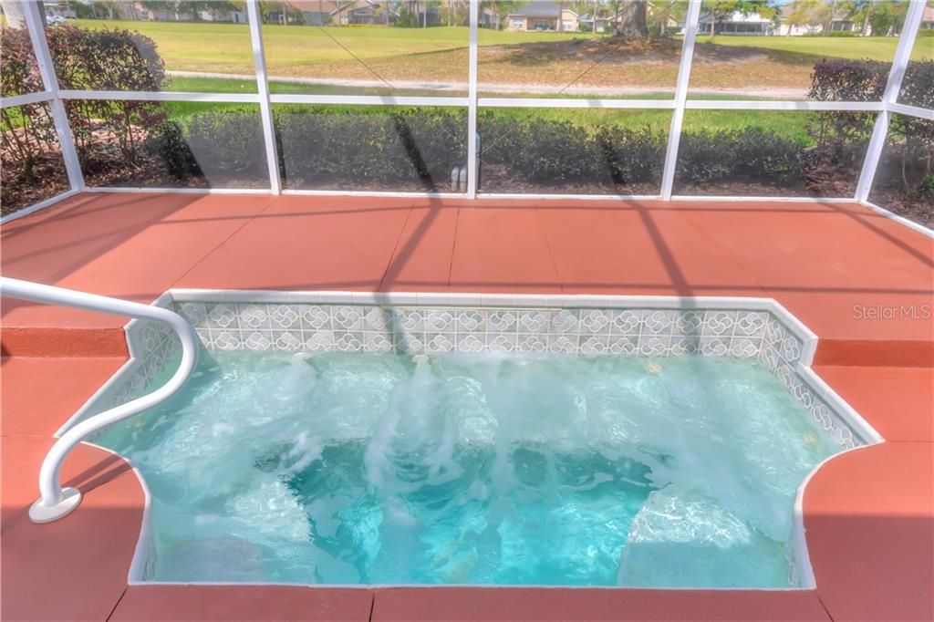 Heated saltwater plunge pool with water features & soothing jets!