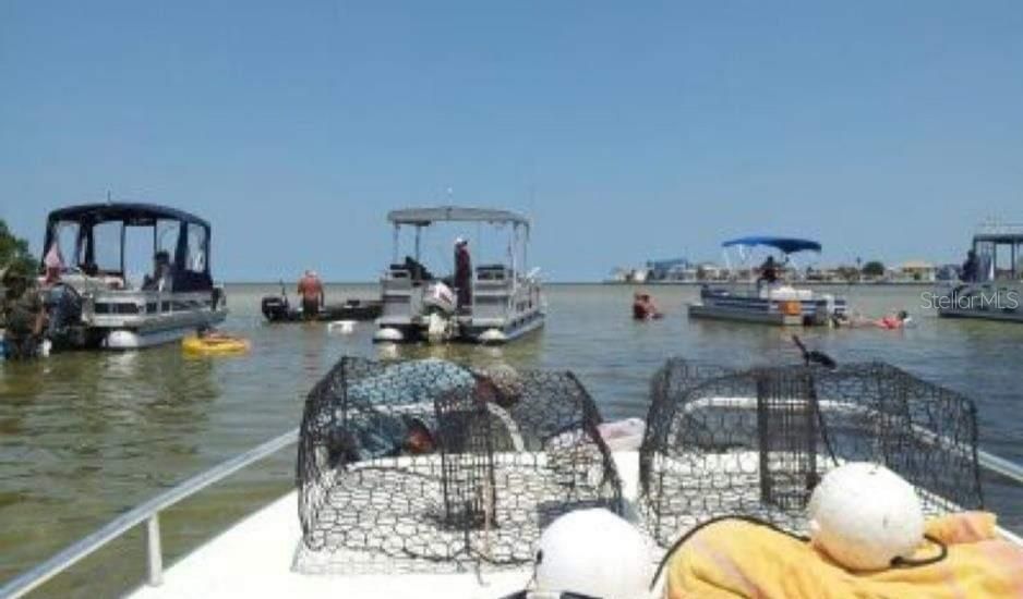 Head out to catch some blue crabs or stone crabs... if not fishing.