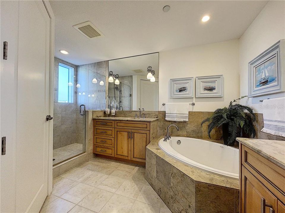 Master bathroom with shower, dual sinks, spa bath and separate toilet.