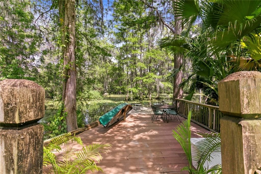 Your own private dock right on the Hillsborough River