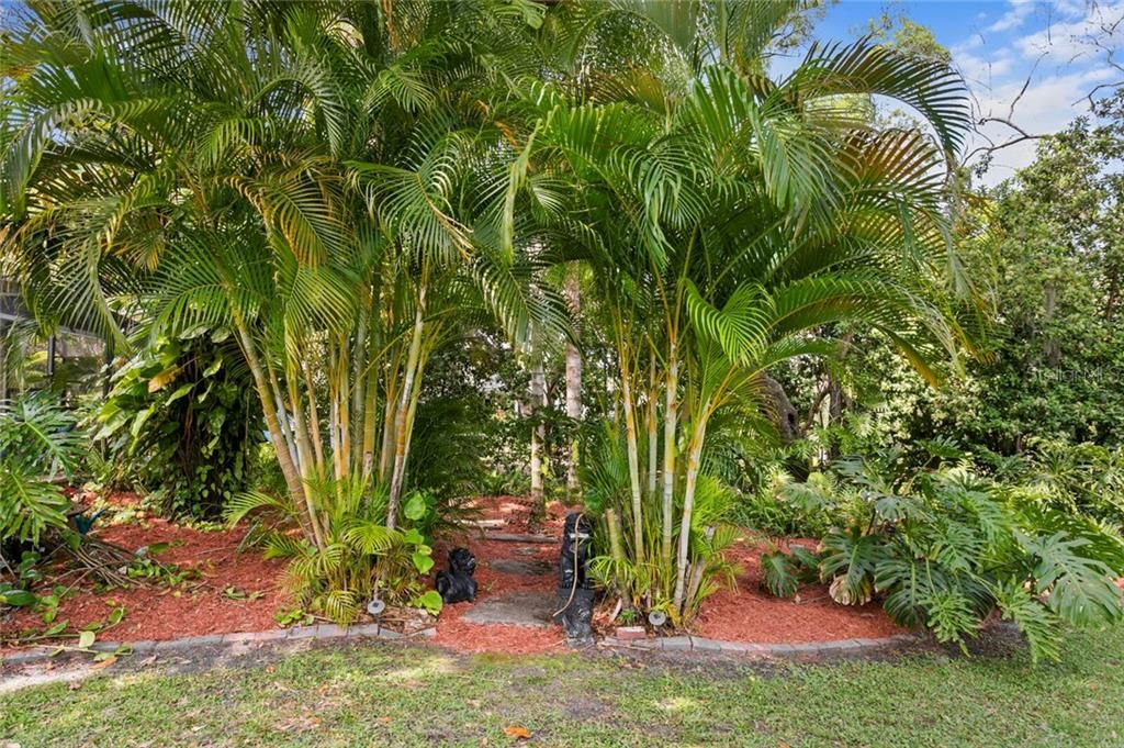 Elegant outdoor weddings have been held under this arbor of palm trees