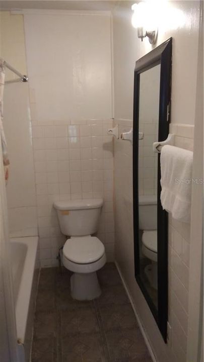Shower/tub/ toilet/ large full length mirror